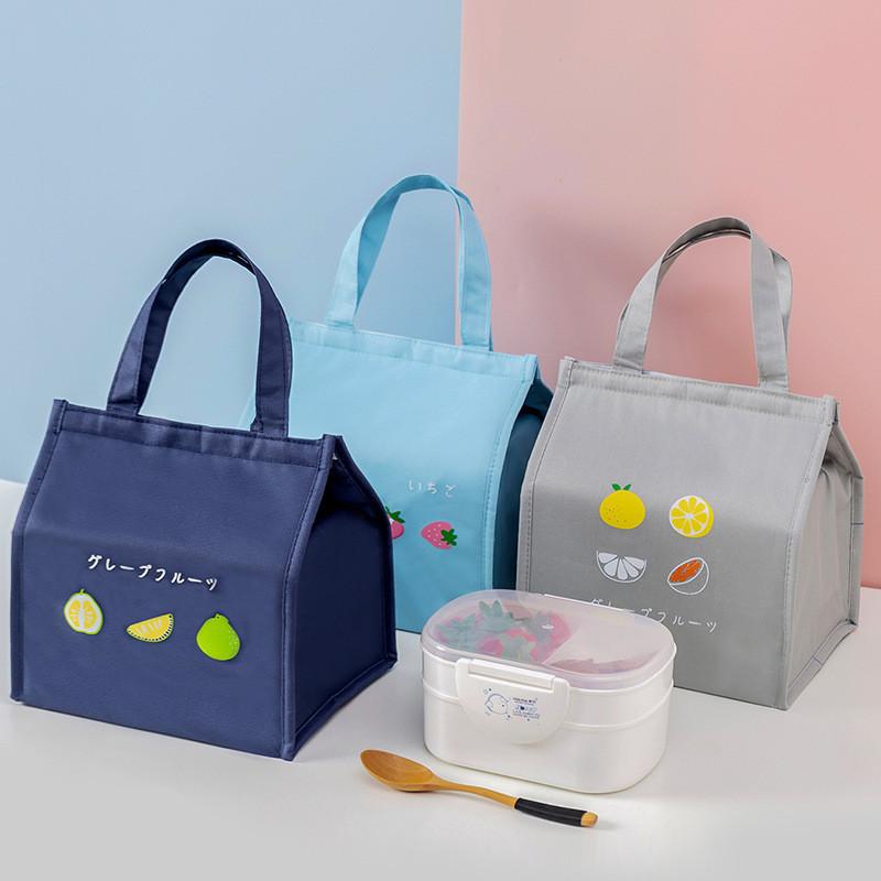 Insulated Lunch Bag With Portable Handle For Fresh Food And Cold Storage