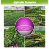 LED E27 Grow Light Full Spectrum Phytolamp Vnitřní Semena květin Hydroponie Žárovka pro pěstování ve skleníku Grow Box