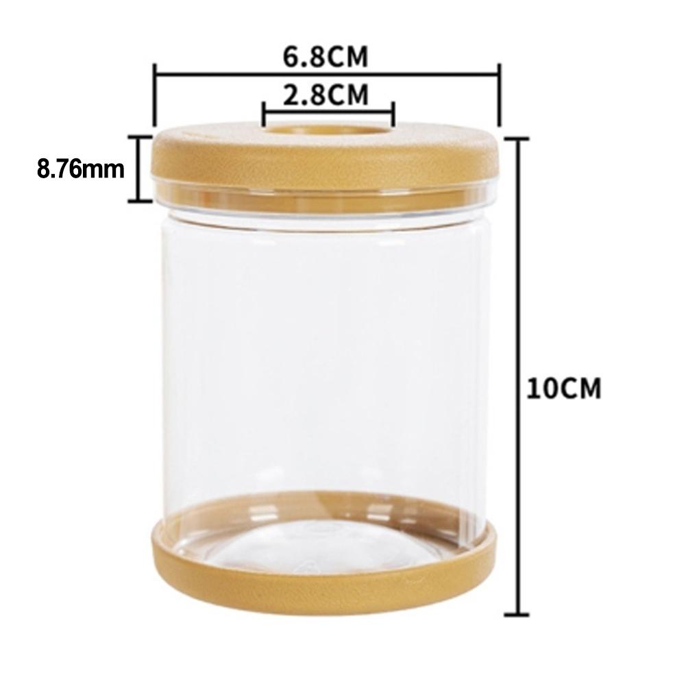 Breathable Clear Plant Container for Small Indoor Gardens and Decor