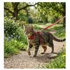 Elza Harness with Leash for Cat M Red