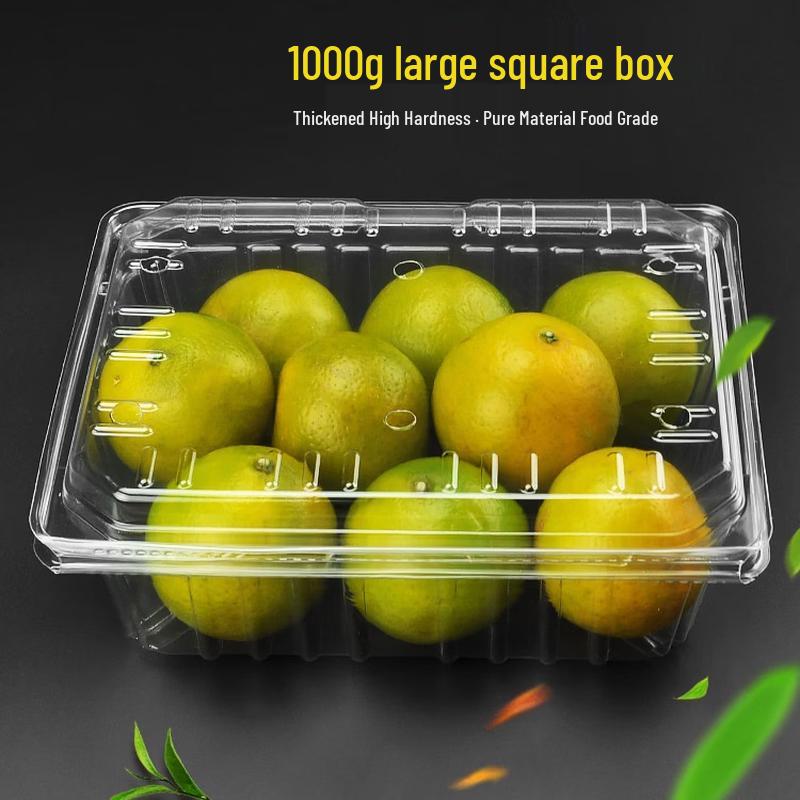 Disposable Round Plastic Fruit Container
