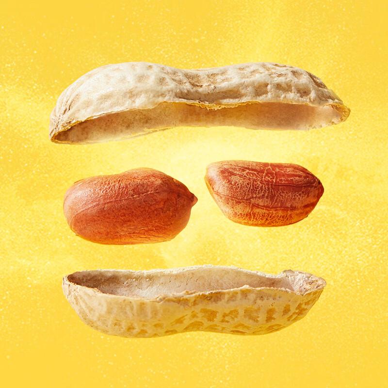 Hui Ji Garlic Flavored Shelled Peanuts