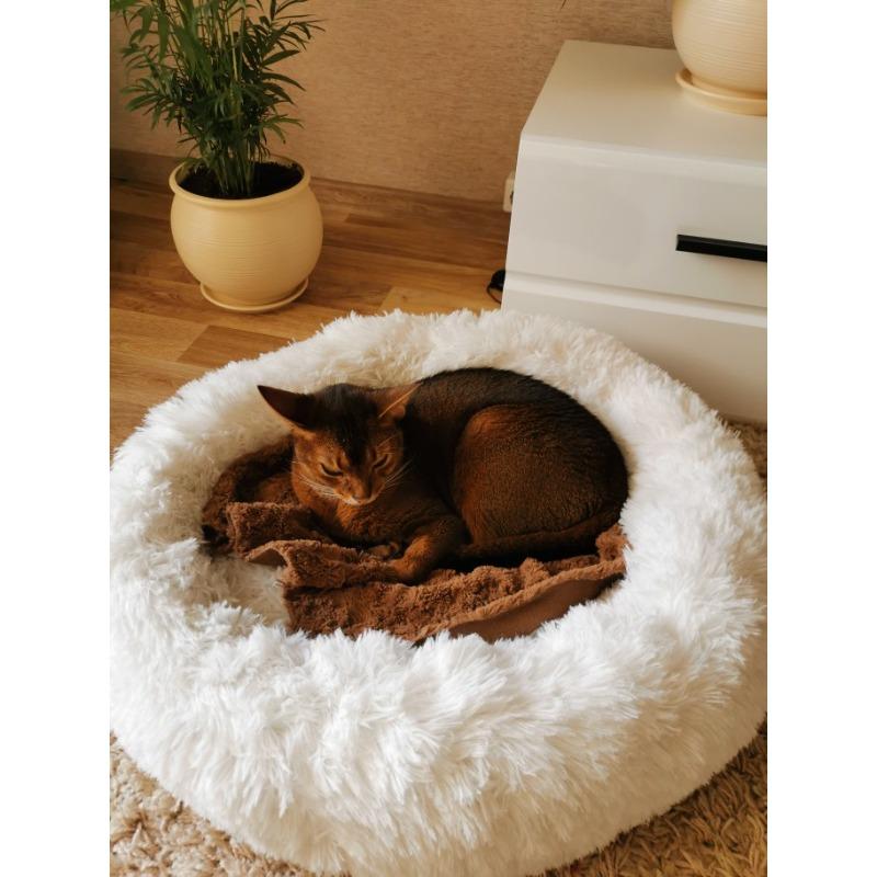 Super Soft Dog Bed Plush Cat Mat Dog Beds Round Cushion Pet Product Accessories Washable Dog and Cat Cushion Bed Winter Warm Sofa Hot Sell