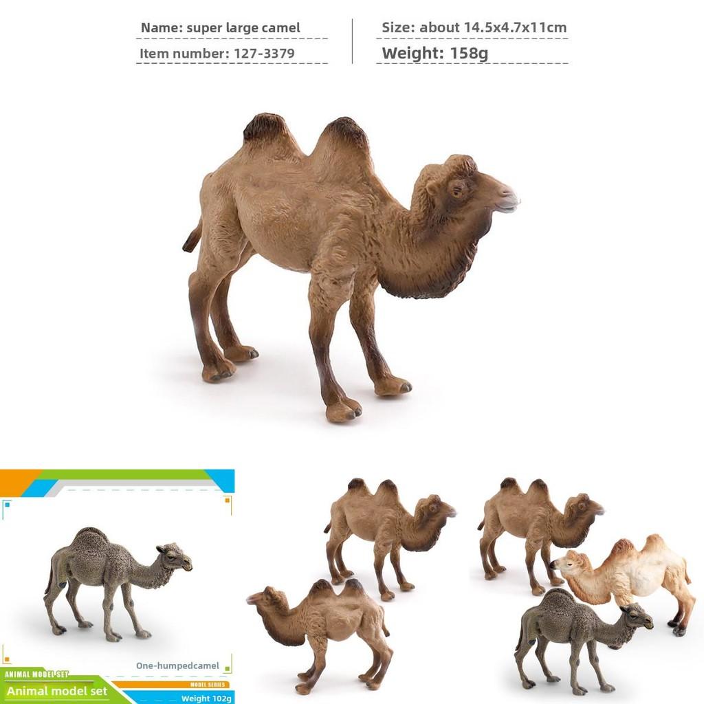 Desert Animal Pvc Figurine Twin Hump Camel Static Decor For Children Learning Play