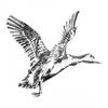 Jack Pyke Duck Badge