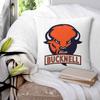 Bucknell University Square Pillowcase Polyester Linen Velvet Creative Zip Decorative Throw Pillow Case Home Cushion Cover