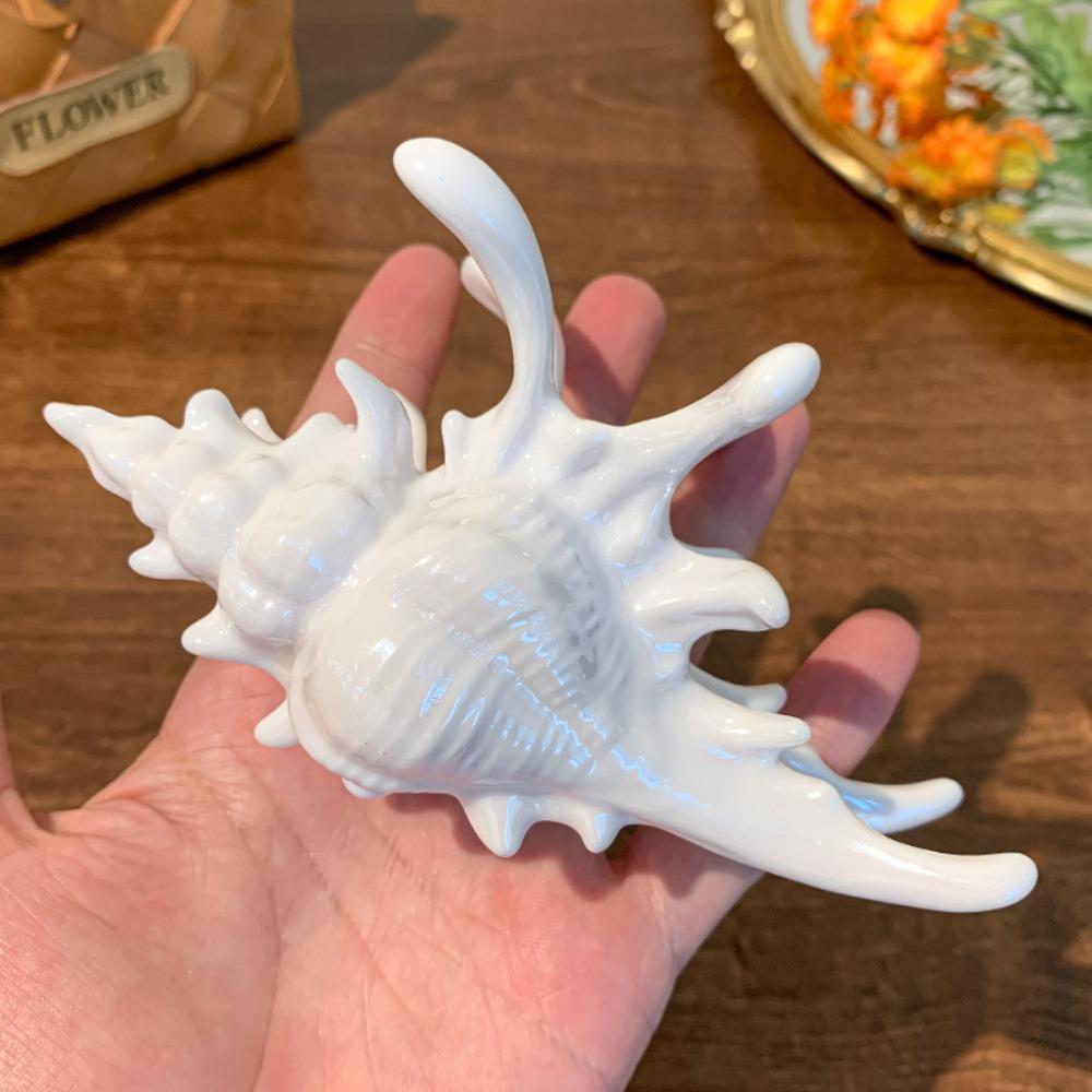 

Creative Conch Hairpin Elegant Colorful Shark Clip Gift Hair Clip for Summer Beach белый