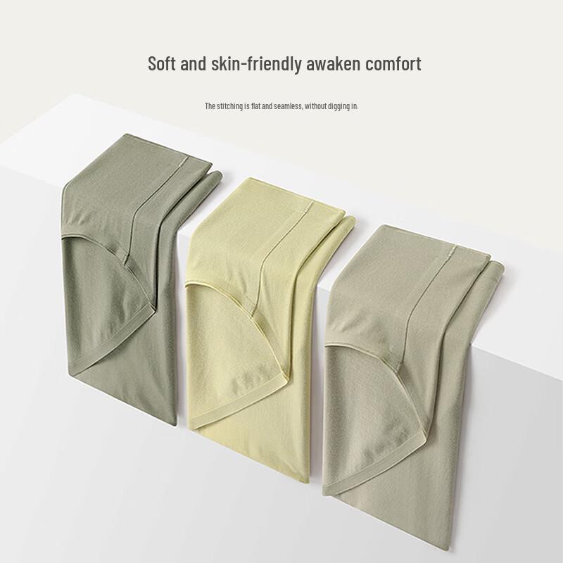 YOUNGYELL Women's Seamless Antibacterial Cotton Blend Mid-Rise Underwear (3-Pack)