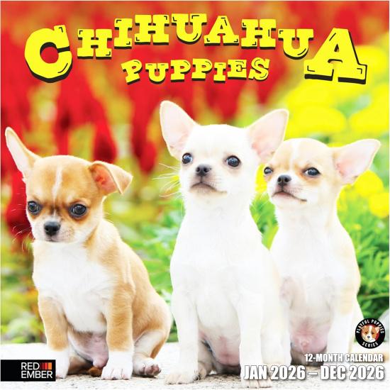 RED EMBER Chihuahua Puppies 2026 Wall Calendar 12 Month | 12  x 24  Open | Thick & Sturdy Paper | Holiday Gift | Cute Puppy Dog Calendar 2026 New 2026