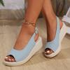 Wedge Sandals Women's Fashion Round Toe Open Toe One Strap Platform Non-Slip Wear-Resistant Kitten Heel Shoes