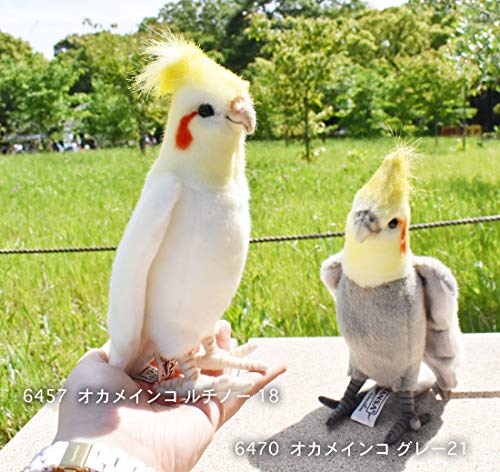 BH6457 HANSA Cockatiel 21