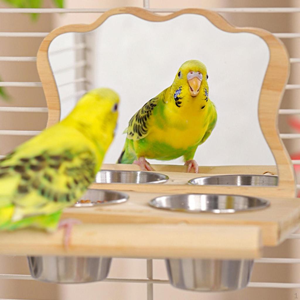 Bird Perch Supplies Versatile Fun Play Toy Mirror with Parrot Cage Accessories for
