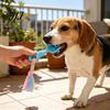 Pet Exercise And Bonding Toys Molar Teeth Cleaning Fork Toy, Durable Woven Rope Training Macaron for Dogs Colors Interactive TPR Chew Toy Gum Massage