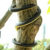 Fake Snake Toy Vivid Appearance Smooth Surface Long Snake Toy Prank Joy  Halloween Decoration Trick Prop