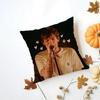 Louis Singer Tomlinsons Cushion Cover Iceland Washable Linen Soft  for Daily Sofa Bed Home Room Decor