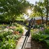 1 pz. Testa per Attrezzo Sarchiatore a 4 Artigli - Estrattore Professionale di Radici per Erbacce Difficili in Giardino, Soluzione Ergonomica per la Manutenzione del Prato