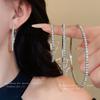 Silver Needle Diamond Round Earrings Exaggerated High-end Design Ins Earrings Niche Light Luxury Temperament New Earrings Women