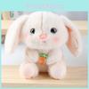 Adorable Porte-clés Peluche Lapin Carotte Avec Remplissage en Coton PP Pour Enfants et Collectionneurs