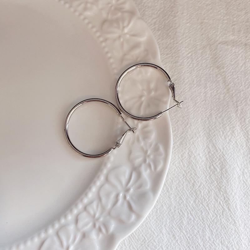 Exaggerated Hoop Earrings - European & American Cold Style, 925 Silver Needle, All-Match Metal Ear Jewelry for Women