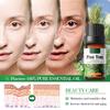 Plant Essential Oil Set 10ml Each Natural Fragrance Therapy Aromatherapy Body Oil Spa Massage Gift Set Export Wholesale