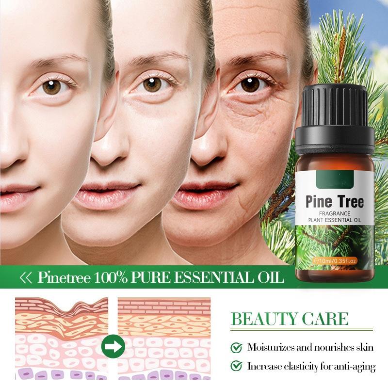 Plant Essential Oil Set 10ml Each Natural Fragrance Therapy Aromatherapy Body Oil Spa Massage Gift Set Export Wholesale