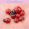 Garden Micro Landscape Toy Collection With Wooden Insect Ladybug Decor For Home Decor And Gifting