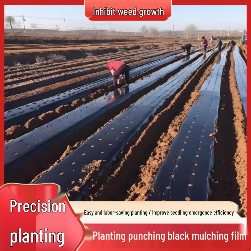 Perforated Black Mulch Film for Moisture Retention and Weed Control in Vegetable and Herbal Planting