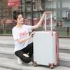 LIDU Vintage Hardside Spinner Luggage