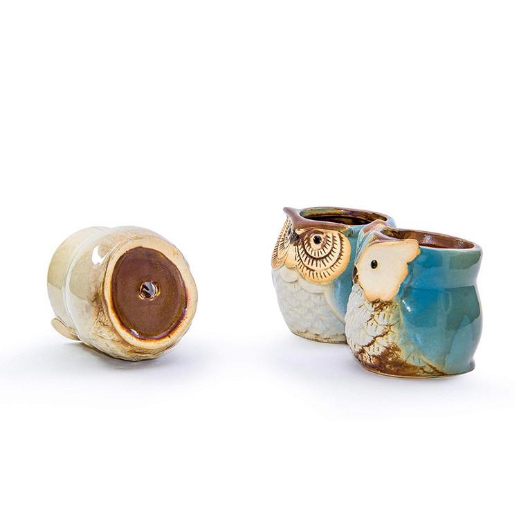Japan-Korea Cartoon Owl Succulent Ceramic Flower Pot for Home and Garden