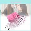 Makeup Brush Set 22 Pieces With Pink Pouch For Precise Application And Travel Convenience