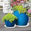 High Quality Plastic Plant Pot Tray Wave Round Durable Drip Trays Heavy Duty Flower Tray Indoor And Out Door Plant