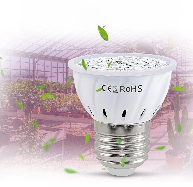 1Pc LED Plant Lights E27 E14 B22 GU10 MR16 Plant Lamp Cup Red-Blue Spectrum Plant Growth Light