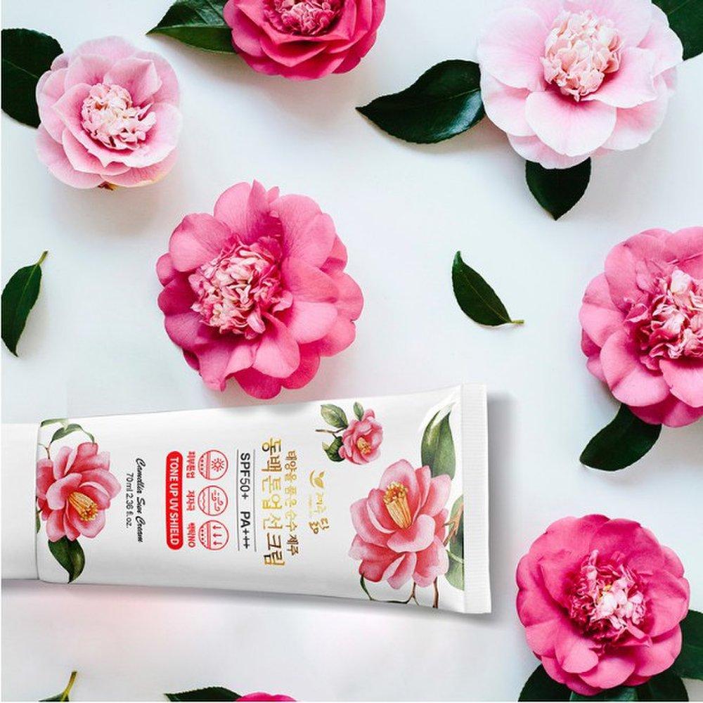 jejudarm camellia tone-up sun cream 50ml sun block