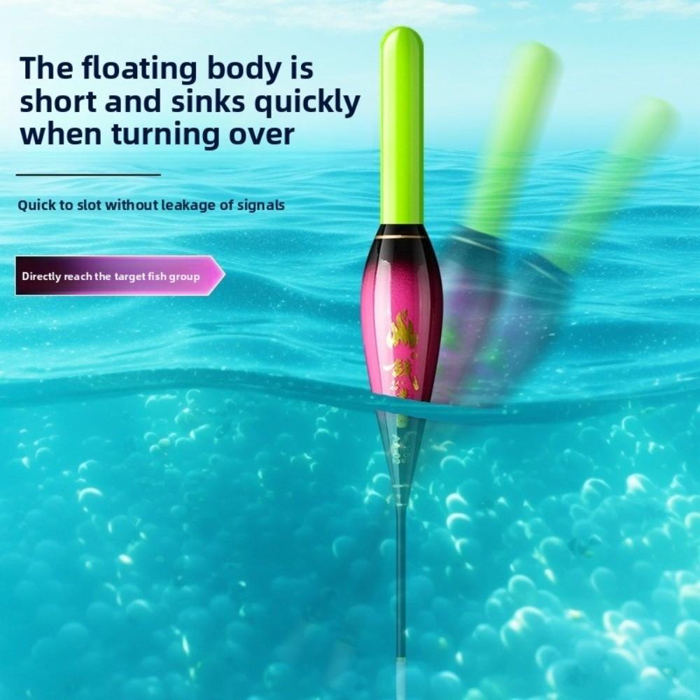 LED Light Electronic Rock Fishing Led Light Float Change Colour Equipment  Night Fishing