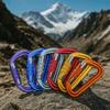 D-shaped Safety Auto Lock Buckle 12KN Professional Carabiner Hammock Hook  Hiking