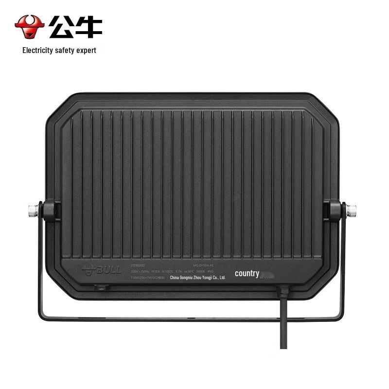 BULL LED Floodlight, IP65 Waterproof