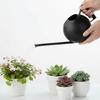Watering Can for Outdoor Indoor Plants, Small 1000ML Stainless Steel Watering Pot with   Spout, Removable Nozzle, Metal Water Can for House Plant