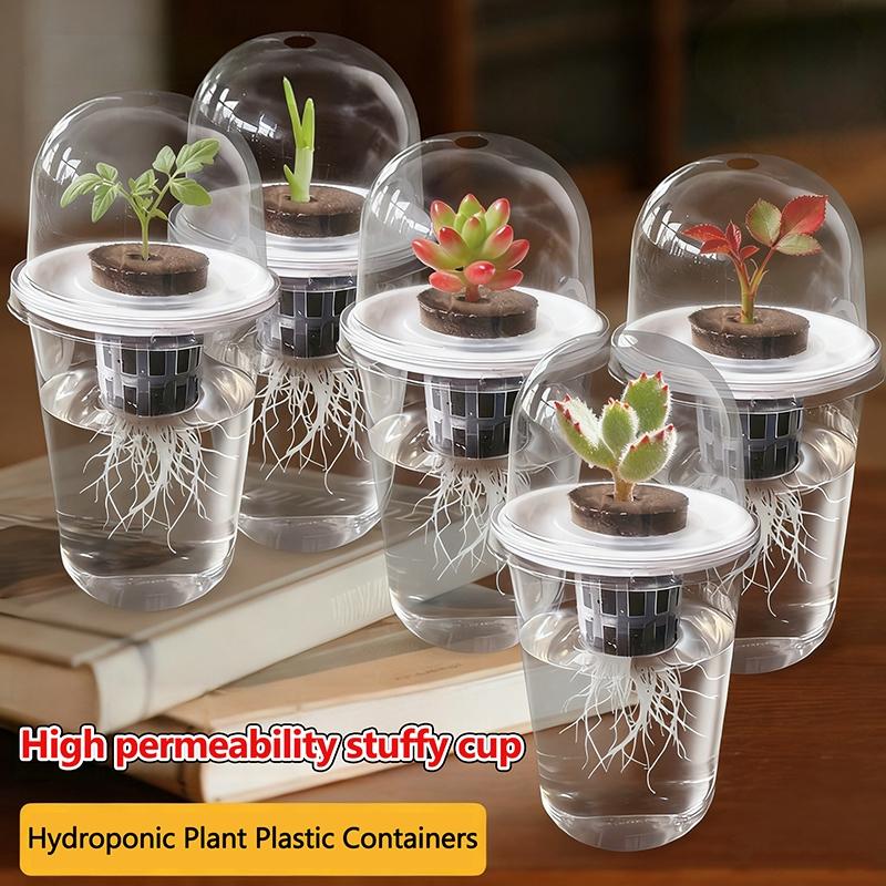 Transparent Nursery Pots Hydroponic Seedling Cup Flowerpot Potato Succulent Vegetable Hydroponic Planting Cup Nutritional Cup