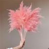 Dried Pampas Grass Natural Pampas Grass Bouquet Large Reed Dried Flowers for Boho Home Decor