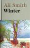 Winter by Ali Smith Hardback Book 9780241207024