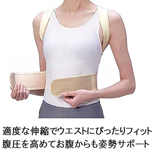 Nakayama Style Spine Medicine Kyosei Belt Mesh Size M Waist 65-85cm Height 155-165cm