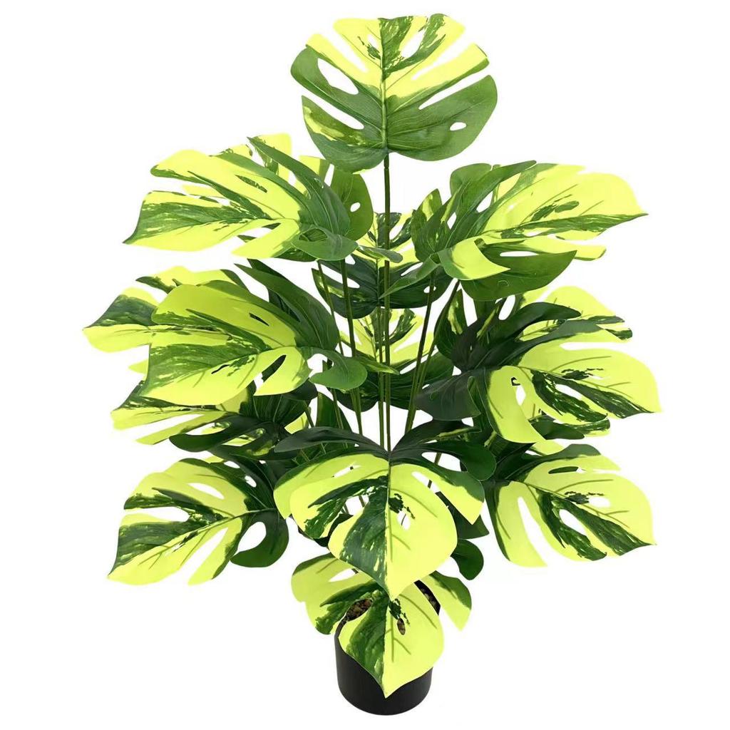 Nordic Style Variegated Monstera: Potted Plant for Home & Garden Decor