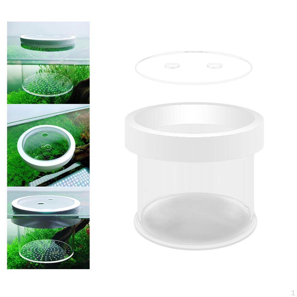 Aquarium Breeder Box Fish Isolation Floating Separation Egg Net Incubation