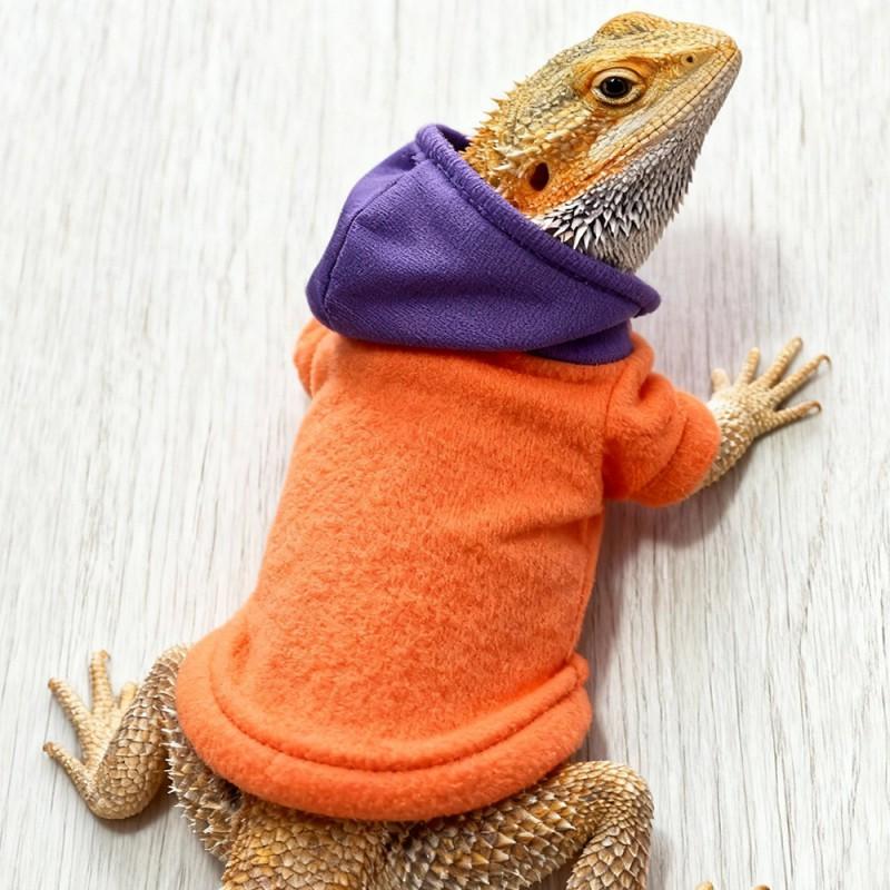 Pet Reptile Hoodie T-Shirt Lizard Walks Outdoor Costume Lightweight Apparel Universal Fit