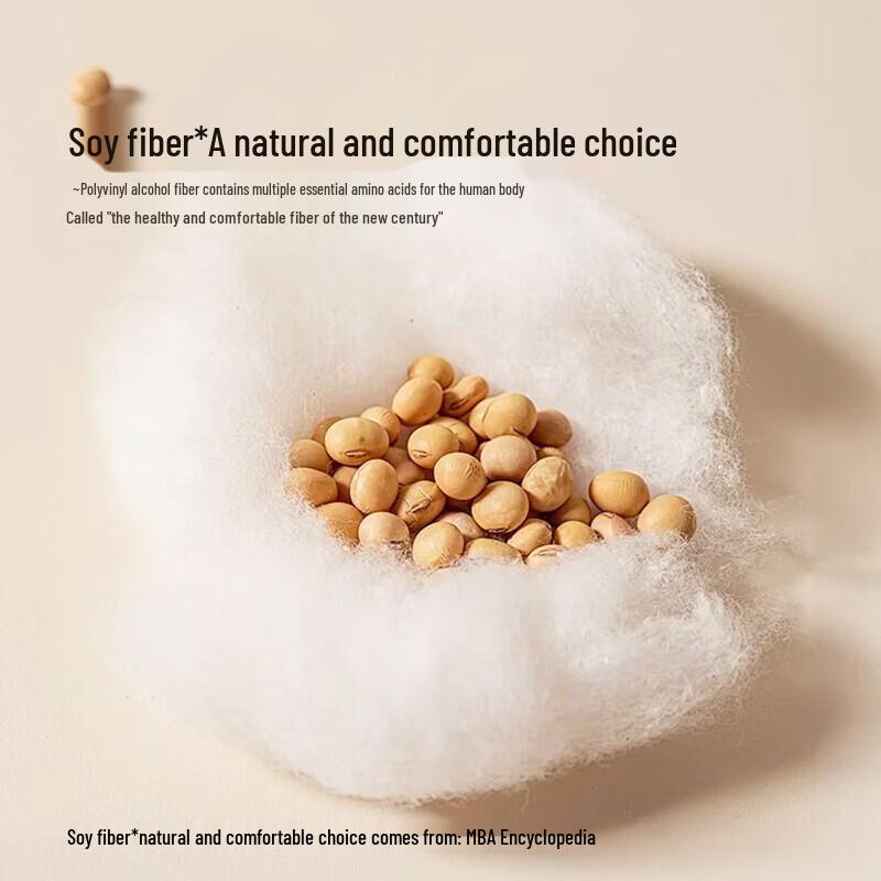 Mercury Home Textiles 30% Soybean Fiber Negative Ion Two-in-One Quilt