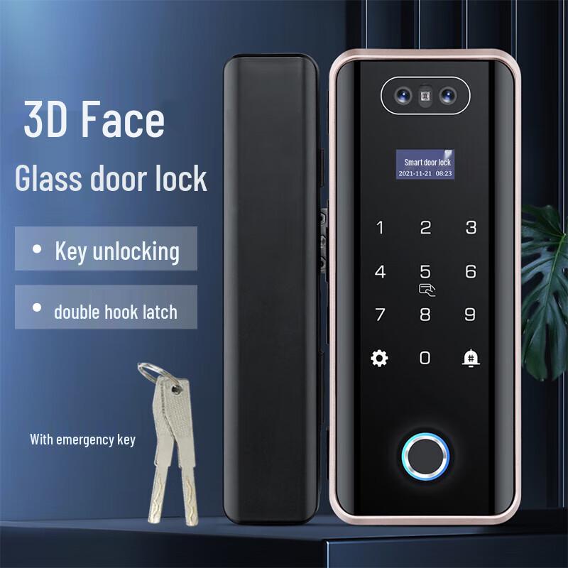 Realand ZD508 Face Recognition Smart Lock CN plug (adapter included)