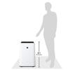 Sharp Humidifying Air Purifier Plasmacluster 7000 Standard 13 tatami / Air Purifier 23 tatami 2017 Model White KC-H50-W