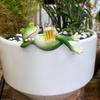 Frog Garden Statue Planter Hugger Drinking Frog Flower Pot Edge