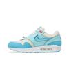 Nike Air Max 1 'Puerto Rico Day - Blue Gale' (Unisex) Blue Gale / Blue Gale / Barely Blue Casual Shoes FD6955 400