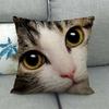 Fashionable cats and cute pet animals Digital printing short plush pillow covers for car sofa office cushion cover home goods